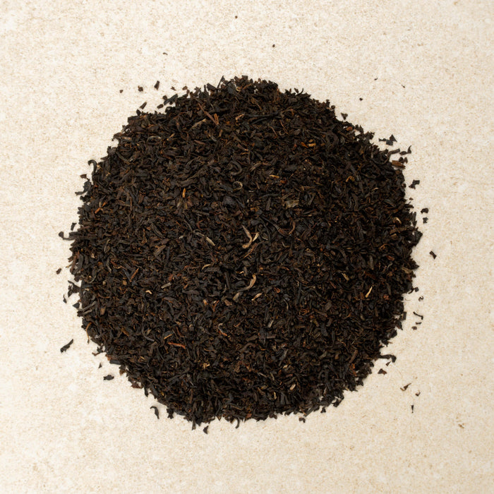 bellevue's best brew