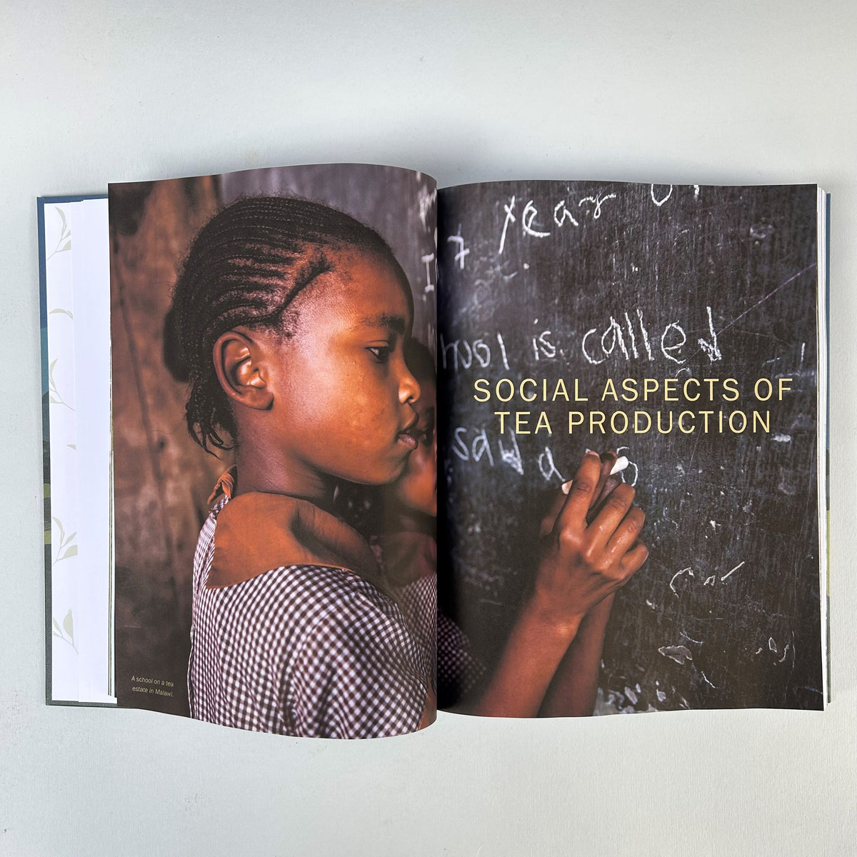 The World Tea Encyclopaedia Book