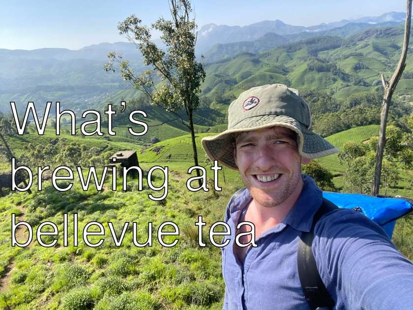 Read whats brewing at bellevue